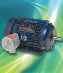 Marathon XRI NEMA premium Explosion proof motor