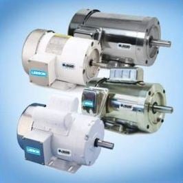 Four LEESON washdown duty motors with AEGIS factory-installed.