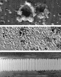 Pitting, frosting, & fluting bearing damage from shaft voltage discharge