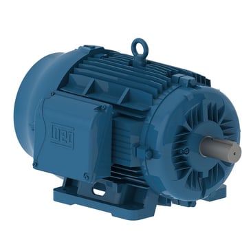 WEG W22 Cast Iron Motor, certifiable for Class I Div 1 with AEGIS installed